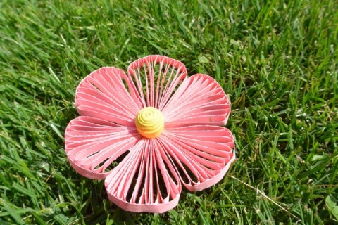 Růže šípková dekorace květina quilling 