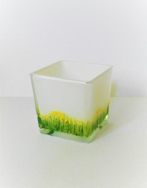 Tráva plná pampelišek sklo dóza jaro obal na květiny pampeliškový jarní louka 