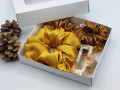 Scrunchie - dárkový box XII.