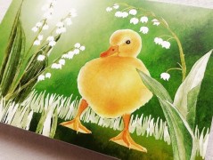 Darovací obálka - ČERVENÉ VÁNOCE