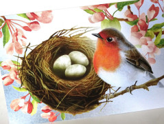 Darovací obálka - ČERVENÉ VÁNOCE