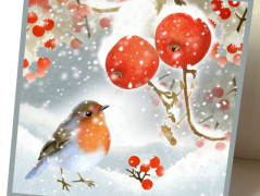 Darovací obálka - ČERVENÉ VÁNOCE