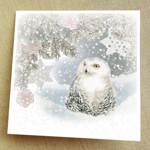 Přání - SNĚŽNÁ KRÁLOVNA 