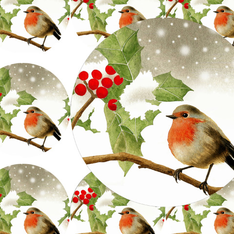 ČERVENKA- samolepky zábava sníh zima vánoce ptáček přání příroda vánoční diář rostlina deník advent obálka červenka nálepka pohlednice samolepky samolepka 