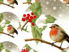 Darovací obálka - ČERVENÉ VÁNOCE