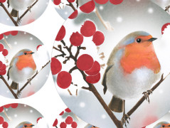 Darovací obálka - ČERVENÉ VÁNOCE