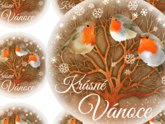 Darovací obálka - ČERVENÉ VÁNOCE