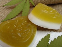 Rybka, rybka, rybička zelená