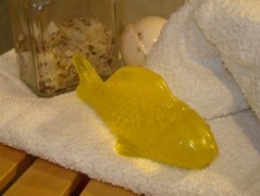 Rybka, rybka, rybička zelená