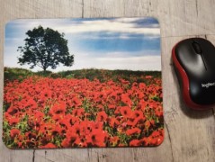 Hrnek se jménem, Klára