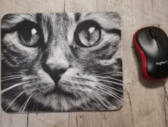 Hrnek se jménem, Klára