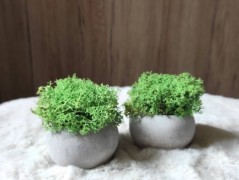 Luxusní vánoční v. se srdíčkem