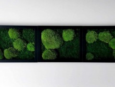 Mechový obraz, strom života, 30 cm