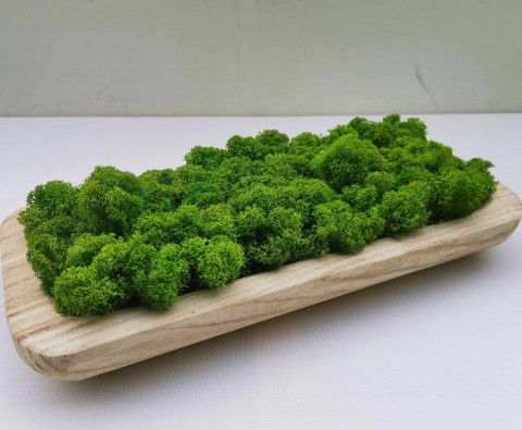 Přírodní miska plněná sobím mechem sobí mech mechová dekorace mechová mísa přírodní miska 