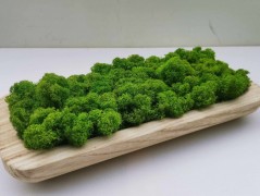 Mechový obraz, strom života, 30 cm