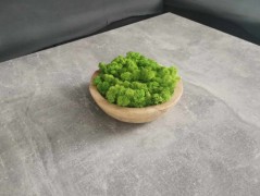 Mechový obraz, strom života, 30 cm