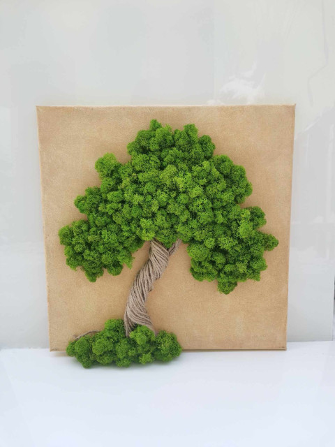 Mechový obraz, strom života, 40x40 obraz obrázek strom života sobí mech mechová dekorace mechový strom 