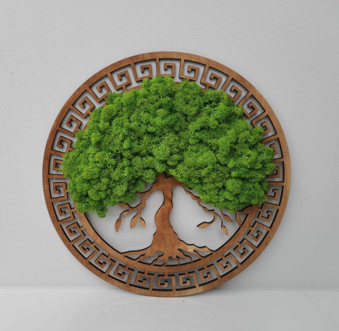 Strom života, 40 cm dekorace strom života stabilizovaný mech mechová dekorace mechový strom kulatý obraz obraz dek 