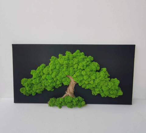 Mechový obraz, strom života, 30x60 strom strom života stabilizovaný mech mechová dekorace 