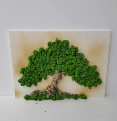 Mechový obraz, strom života, 50x70 dekorace obraz zelený strom života mechový obraz sobí mech mechová dekorace mechový strom 