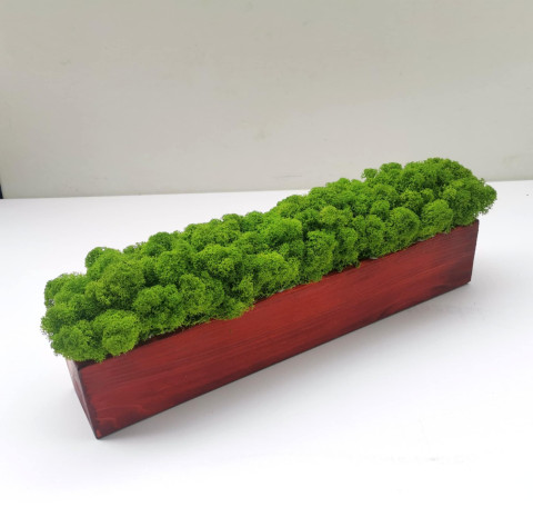 Dekorační blok mechová dekorace blok truhlík so 