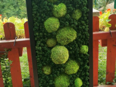 Mechový obraz, strom života, 30 cm