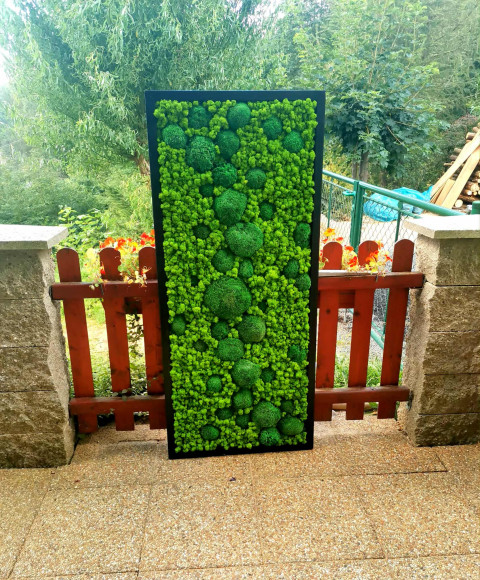 Mechový obraz, 60x140 dekorace obraz přírodní mechový panel kopečkový mech 