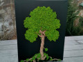 Mechový obraz, strom 60x80 cm