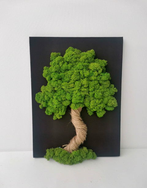 Mechový obraz, strom 30x40 obraz mech strom života mechová dekorace mechový strom 