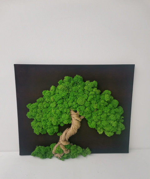 Mechový obraz, strom života, 40x50 obraz mech strom života mechová dekorace mechový strom 
