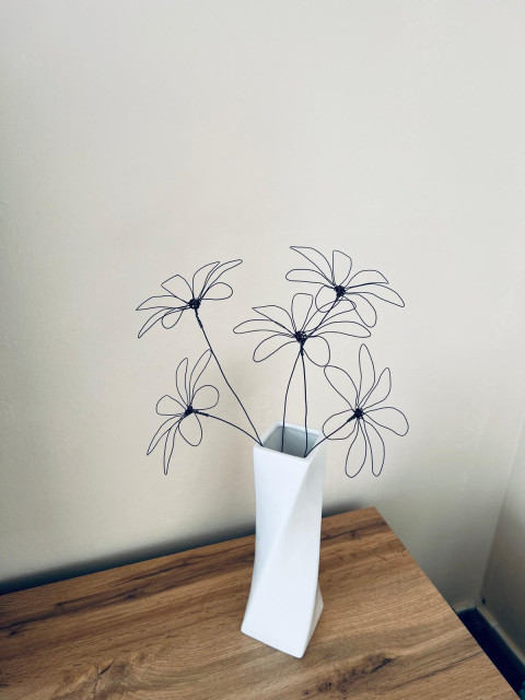 Drátkované Kopretiny 