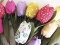Barevné tulipány 2