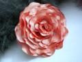 Saténová lososová růže.
