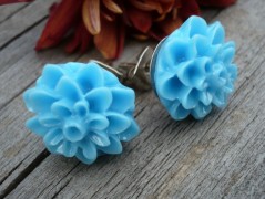 Lístečkové náušnice - S.Steel