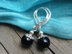 Lístečkové náušnice - S.Steel