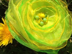 Lístečkové náušnice - S.Steel