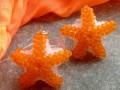 Mořské hvězdice pomerančové