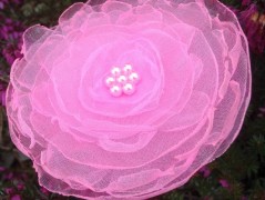 Lístečkové náušnice - S.Steel