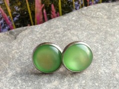 Lístečkové náušnice - S.Steel