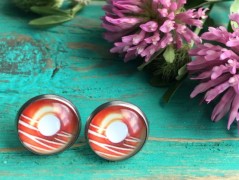 Lístečkové náušnice - S.Steel