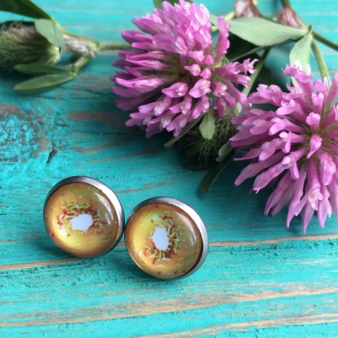 Puzety Donuts 10 - S.Steel sklo hravé nerez jídlo donuty kobliha steel donuts 