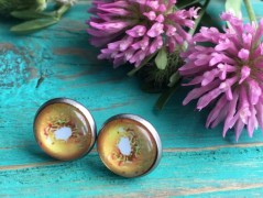 Lístečkové náušnice - S.Steel