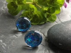 Lístečkové náušnice - S.Steel