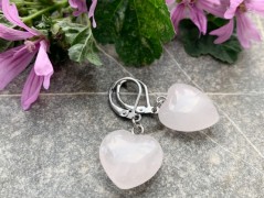 Lístečkové náušnice - S.Steel