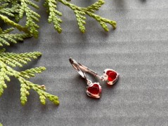 Lístečkové náušnice - S.Steel