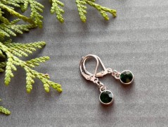 Lístečkové náušnice - S.Steel