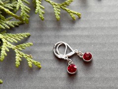 Lístečkové náušnice - S.Steel