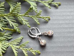 Lístečkové náušnice - S.Steel