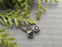 Lístečkové náušnice - S.Steel