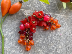 Lístečkové náušnice - S.Steel